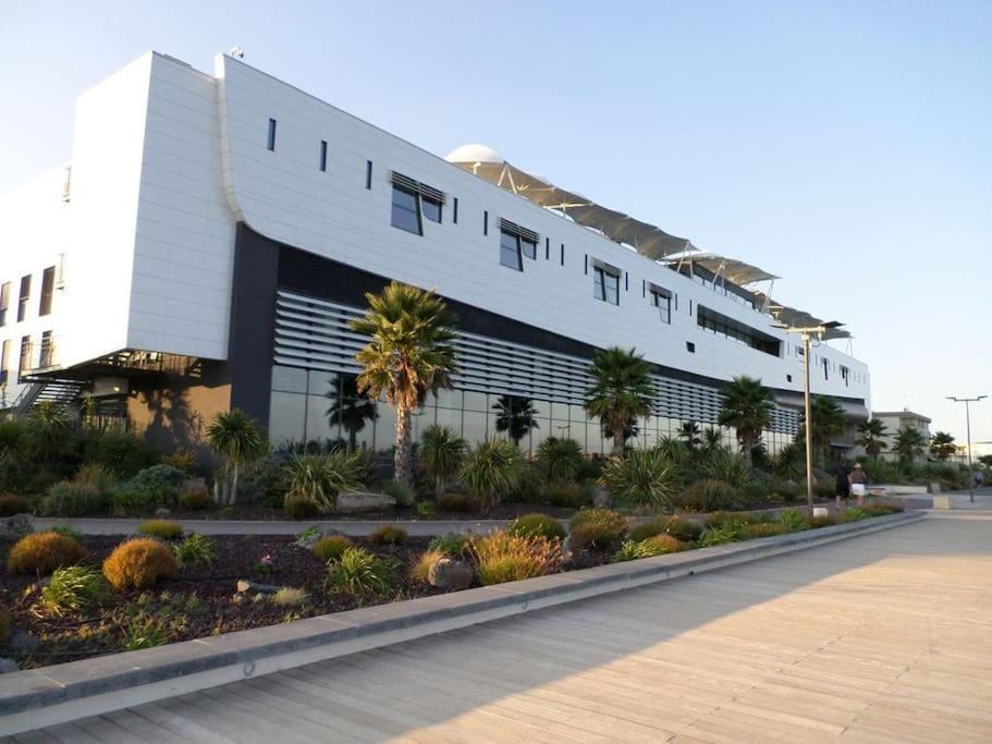 Grande Villa Neuve Avec Piscine Pres Mer Et Sete 巴拉吕克莱班 外观 照片