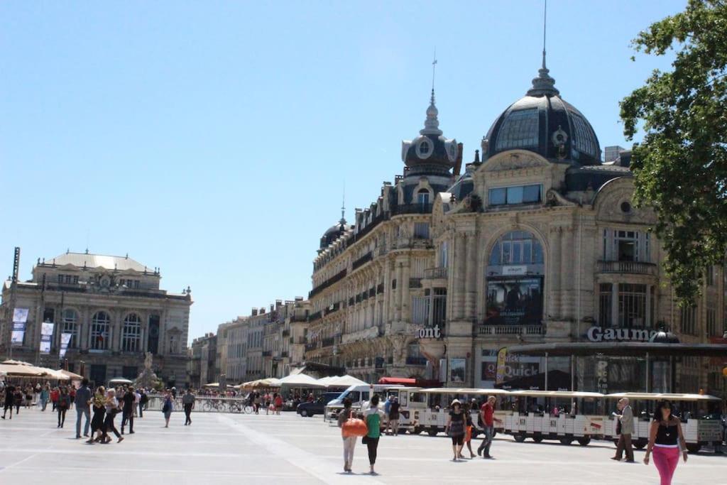 Grande Villa Neuve Avec Piscine Pres Mer Et Sete 巴拉吕克莱班 外观 照片